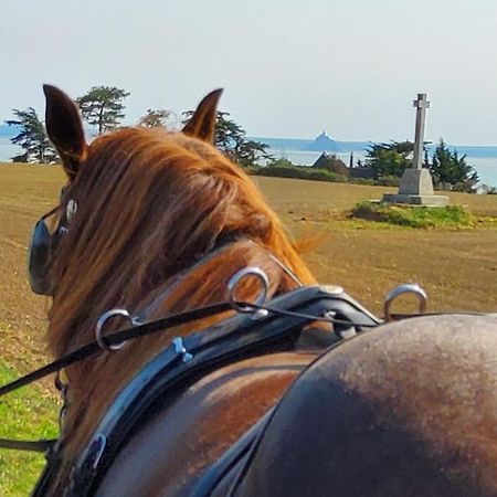 Chez Jollyjune, A Moins D'Une Heure Du Mont Saint Michel Champeaux Екстериор снимка